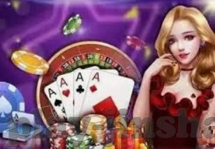 6886体育app网页版登录入口-探索6886体育APP网页版登录入口，便捷体验与安全保障并重